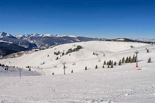 istock The Back Bowls of Vail 503238522