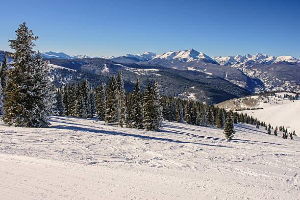 istock The Back Bowls of Vail 503238816