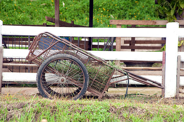 istock Wooden cart 503240919