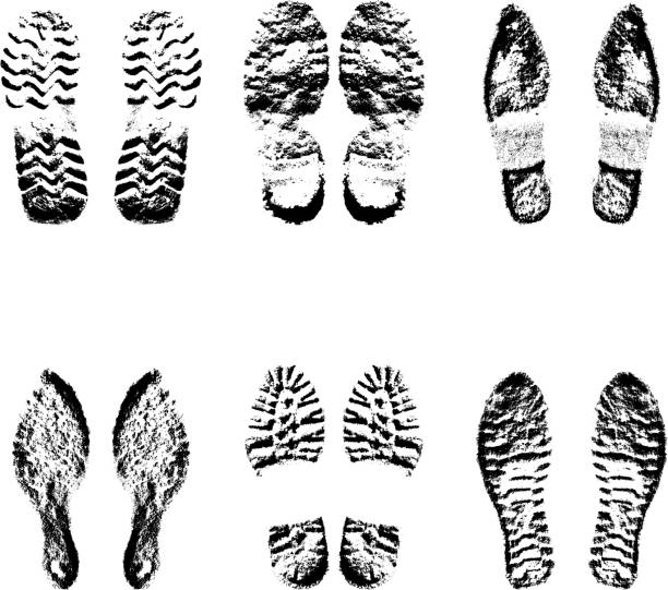 istock Collection  imprint soles shoes  black  silhouette. Vector illustration 503242484