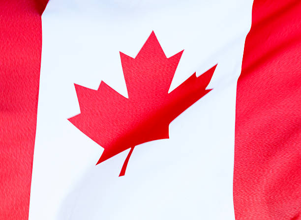 istock Waving Canadian flag 503243604