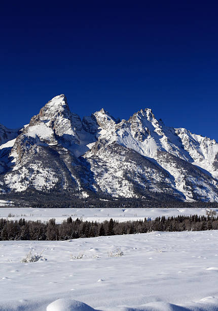 istock Grand Tetons National Park Mountains 503244248