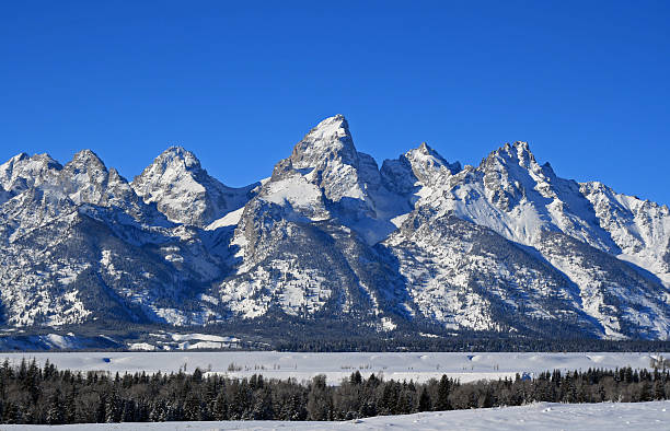 3,200+ Grand Teton National Park Winter Stock Photos, Pictures