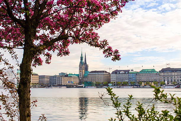 istock Hamburg Alster Lake - Town hall 503244717