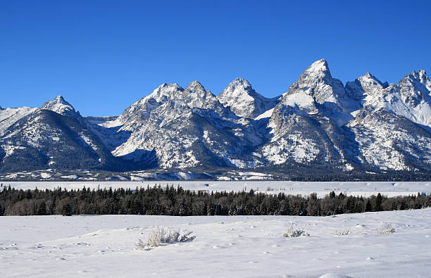 istock Grand Tetons National Park Mountain Peaks 503245026
