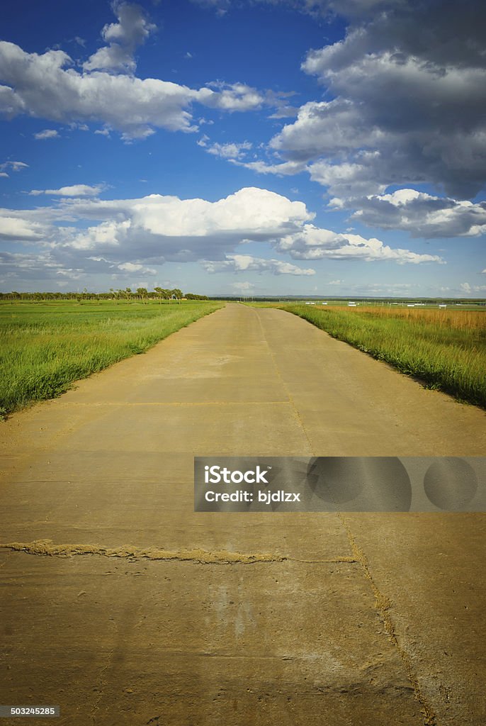 Camino rural - Foto de stock de Aire libre libre de derechos