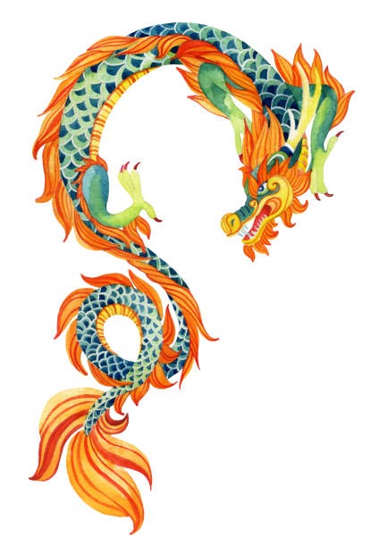 chinesischer drache. - dragon chinese dragon china chinese ethnicity stock-grafiken, -clipart, -cartoons und -symbole