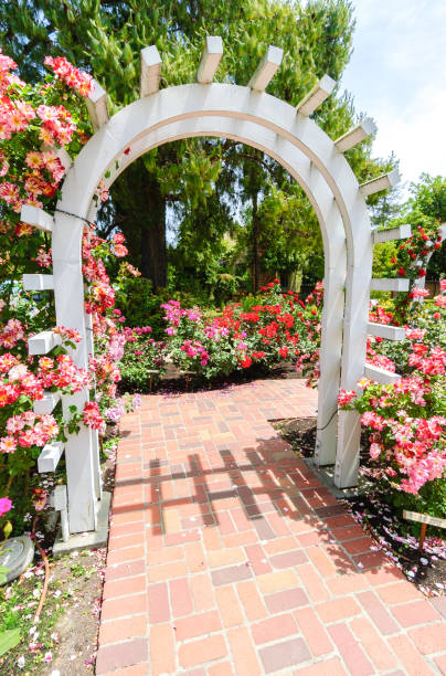 Luther Burbank Home And Gardens Pictures Download Free Images on Unsplash