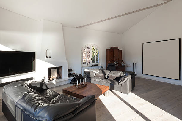 istock living room with leather divans 503247046