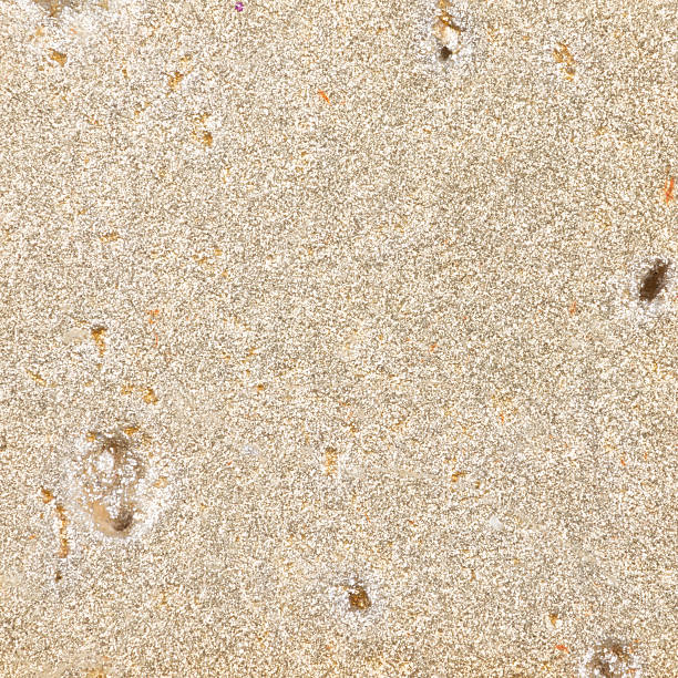 istock natural beige stone with a patina 503252072