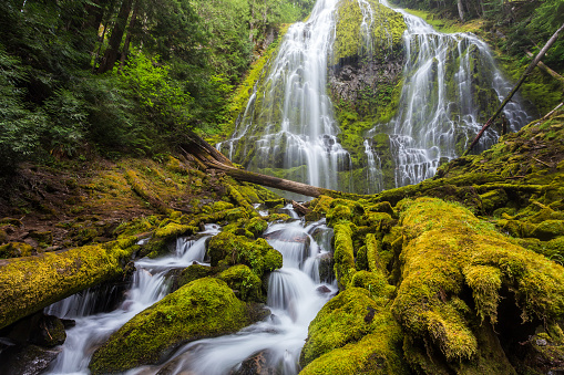 Proxy falls in Oregon forest.