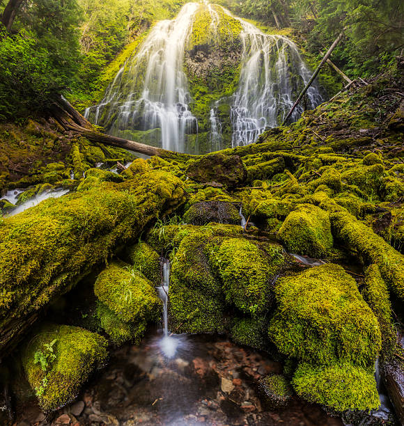 istock Beautiful Proxy falls in mist, Oregon 503253742