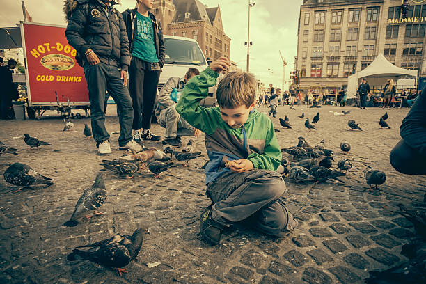 Amsterdam, Holland- June 17, 2014. Dam Square, near Royal Palace of Amsterdam and National Monument across. People enjoying feeding pigeons on the square.