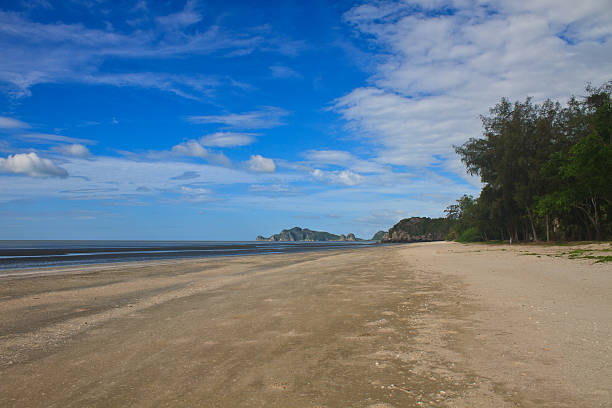 istock beach and tropical sea in summer 503257587