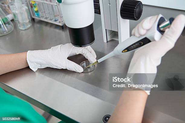 Laboratory Stock Photo - Download Image Now - Cancer - Illness, Research, Laboratory