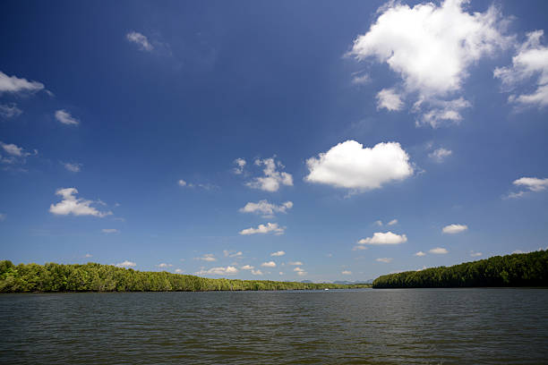 istock THAILAND KRABI MANGROVES 503259903