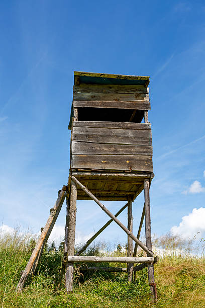 istock Wooden Hunters High Seat 503261405