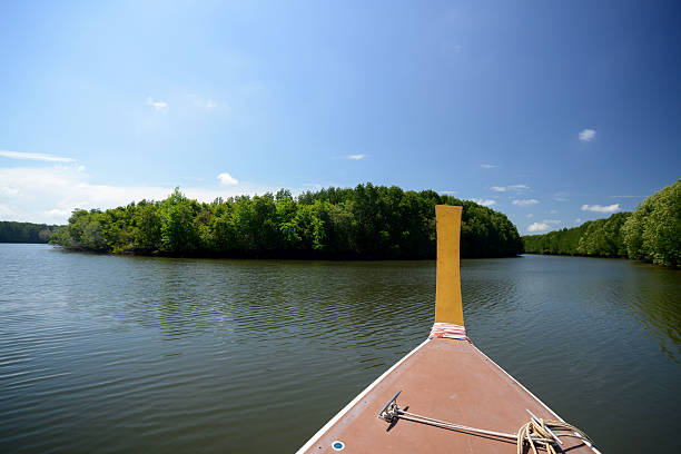 istock THAILAND KRABI MANGROVES 503261659
