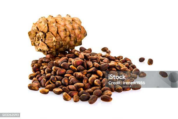 Cedar Pine Cone With Nuts Isolated On White Background Stock Photo - Download Image Now