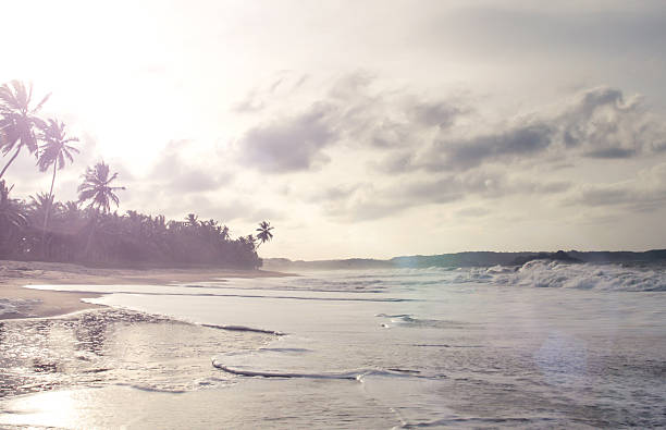istock Empty beach in Atlantic Ocean, Ghana, Africa 503263125