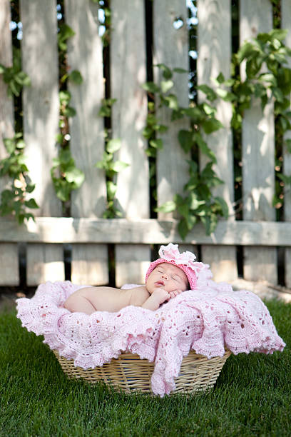 istock Baby Sleeping in Basket Pink Blanket and Rustic Fence Background 503263195