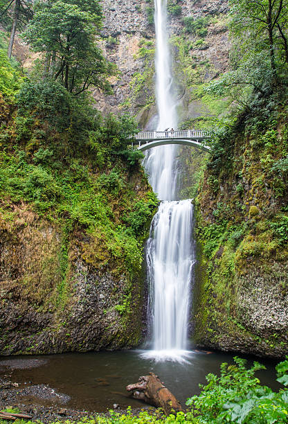 istock Famous Multnomah falls in Columbia river gorge, Oregon 503265198