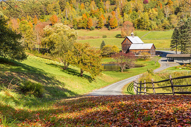 istock Old barn in beautiful Vermont autumn landscape 503265734