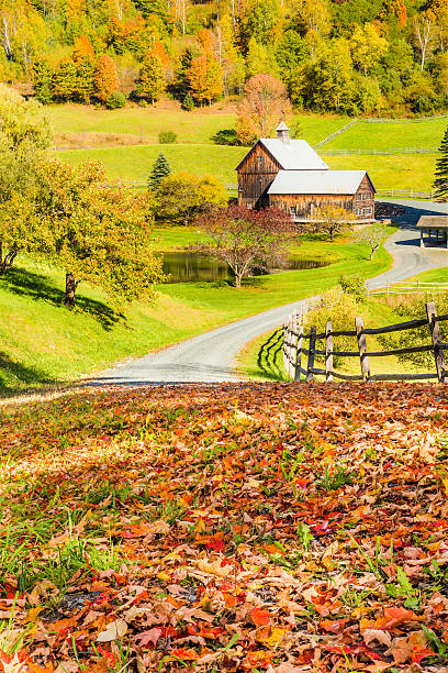 istock Old barn in beautiful Vermont autumn landscape 503265806