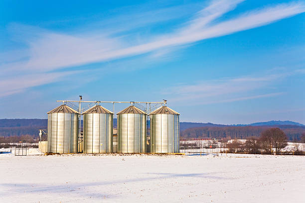 istock landscape with silo and snow white acre with blue sky 503266192