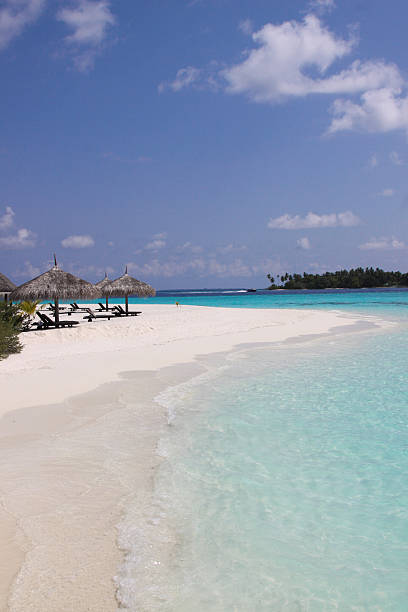 istock Maldives Beach in the sunshine 503267572