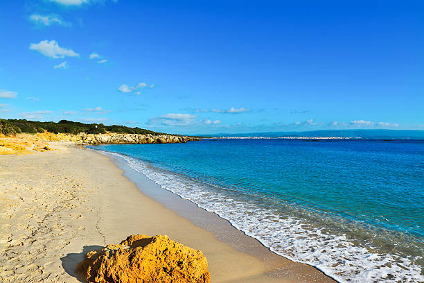istock yellow rock on the foreground in Lazzaretto beach 503268254