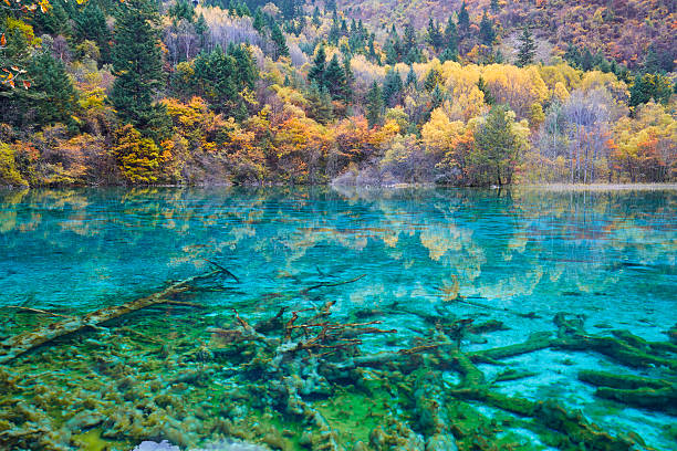 istock Jiuzhaigou Valley National Park 503268830