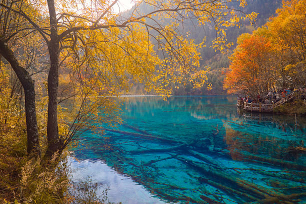 istock Jiuzhaigou Valley National Park 503269910