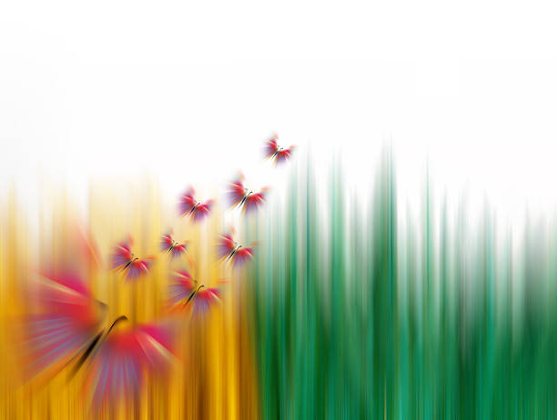 istock Graphic butterfly in meadow colorful , Isolated on white background 503270848