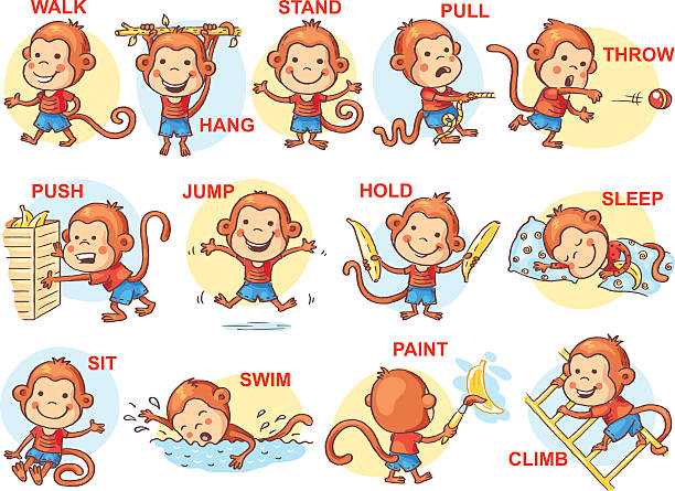 ilustraciones, imágenes clip art, dibujos animados e iconos de stock de los verbos de acción en imágenes, coloridos dibujos animados - monkey sketch drawing showing