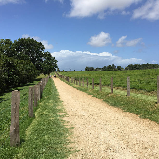 istock Fence in farm field, vintage filter 503273240