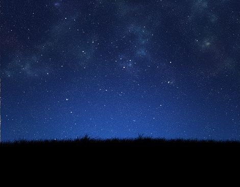 silhouette of grass on night sky background