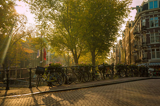 istock Bikes of Amsterdam 503278922