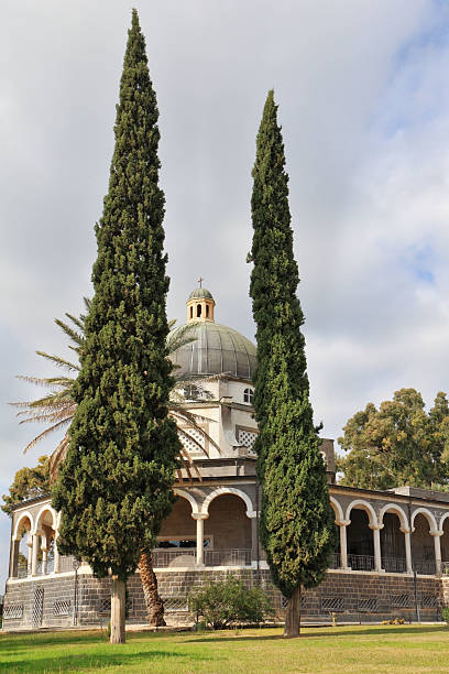 istock The majestic dome and gallery with columns 503280432