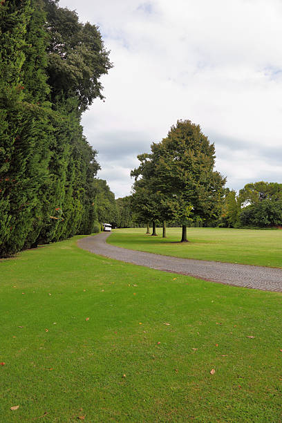 istock Green glade in a park-garden Sigurta 503281112