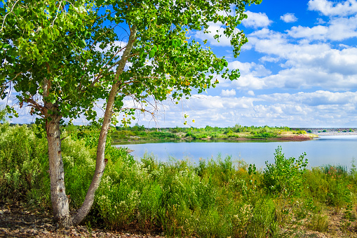 White River Lake summertime, near Spur Texas