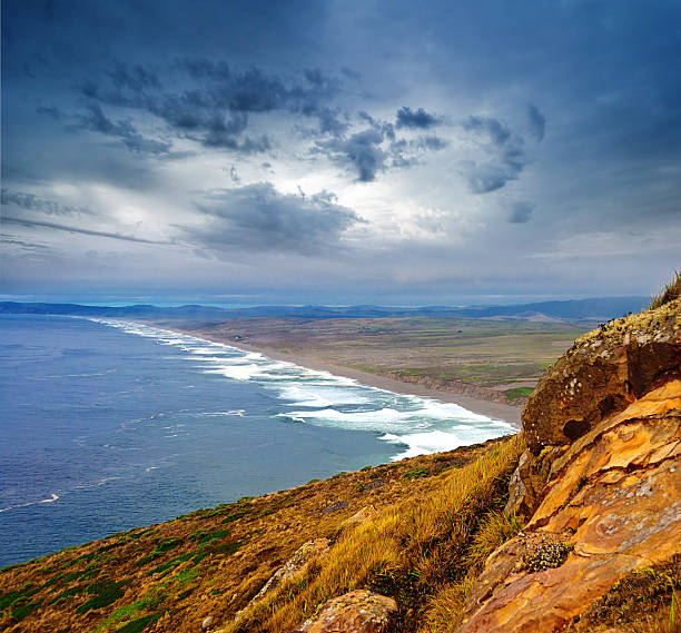 point reyes national seashore, kalifornien - point reyes national seashore northern california beach california stock-fotos und bilder