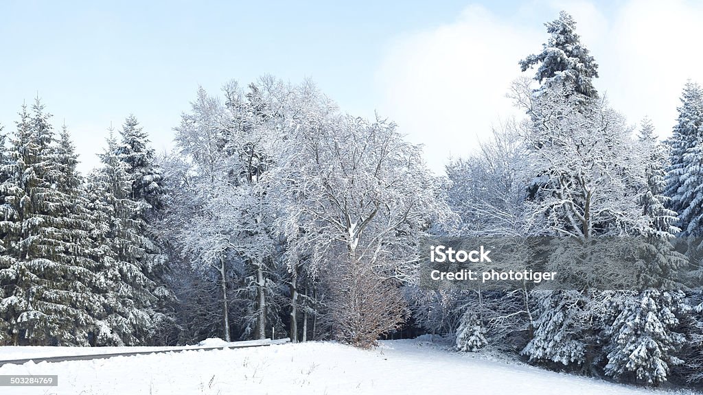 Árvores no inverno - Foto de stock de Cloudscape royalty-free