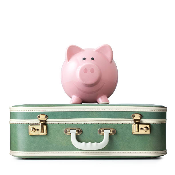 istock Piggy bank on a suitcase 503285407
