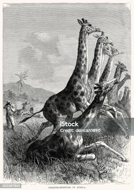 Giraffe Shooting In Africa Stock Illustration - Download Image Now - 19th Century, 19th Century Style, Africa