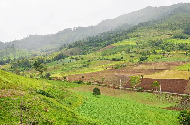 istock landscape of mountain 503288333