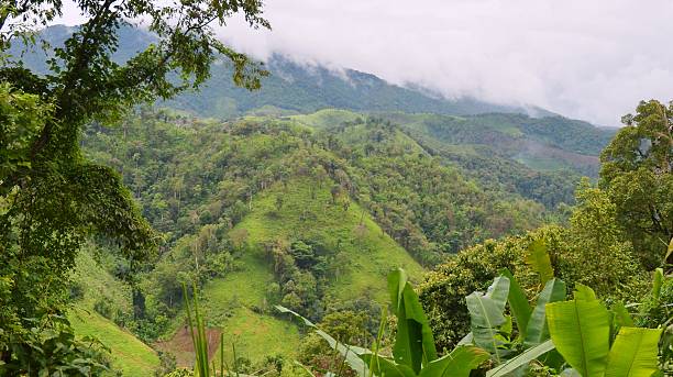 istock landscape of mountain 503288335
