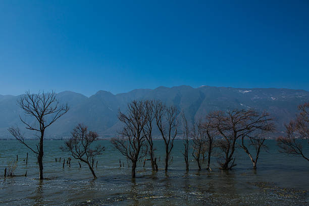istock Erhai Sea natural landscape 503289735