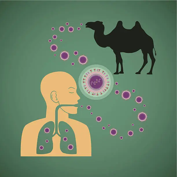 Vector illustration of Vector concept of man and animal respiratory pathogenic MERS virus