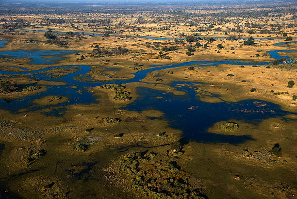 istock Aerial view of the Okavango Swamp, Moremi Game Reserve, Botswana 503299548